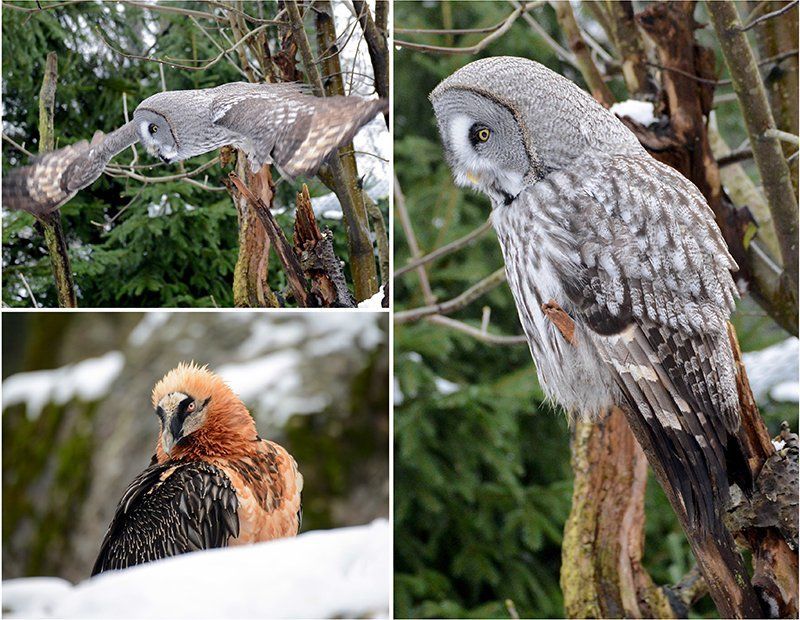 Fotografie Alfons Weber
