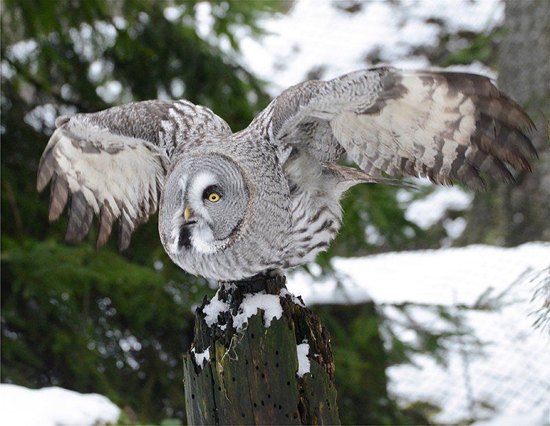 Fotografie Alfons Weber
