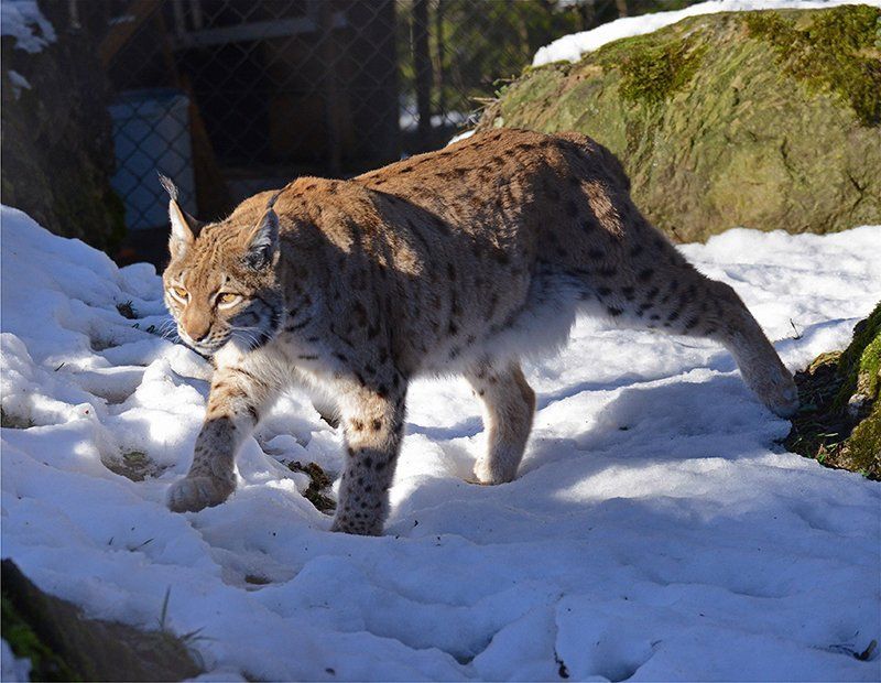 Fotografie Alfons Weber
