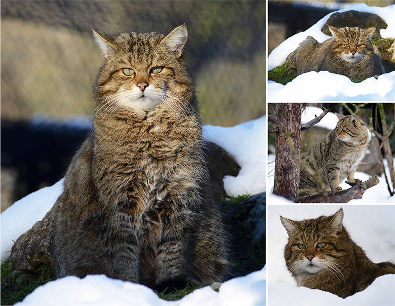 Fotografie Alfons Weber
