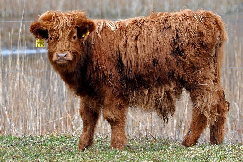 Fotografie Alfons Weber
