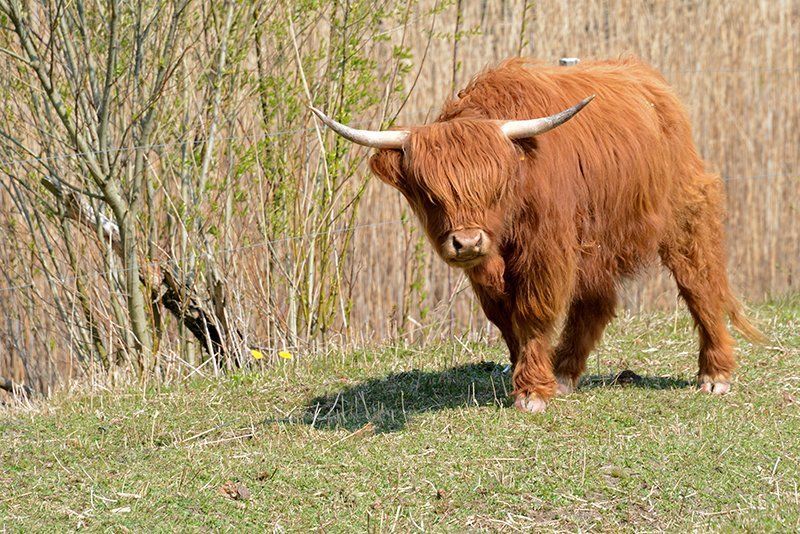 Fotografie Alfons Weber
