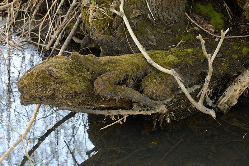 Fotografie Alfons Weber
