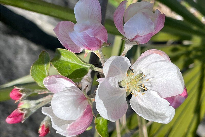 Fotografie Alfons Weber
