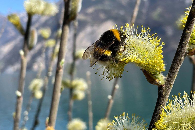 Fotografie Alfons Weber
