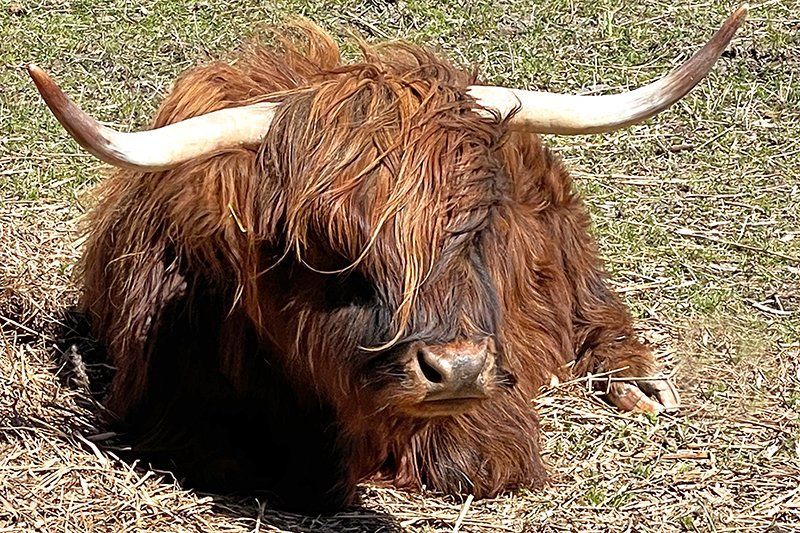 Fotografie Alfons Weber
