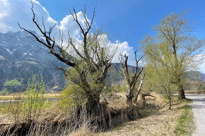 Fotografie Alfons Weber
