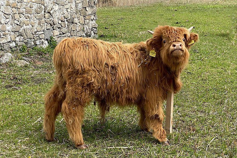 Fotografie Alfons Weber
