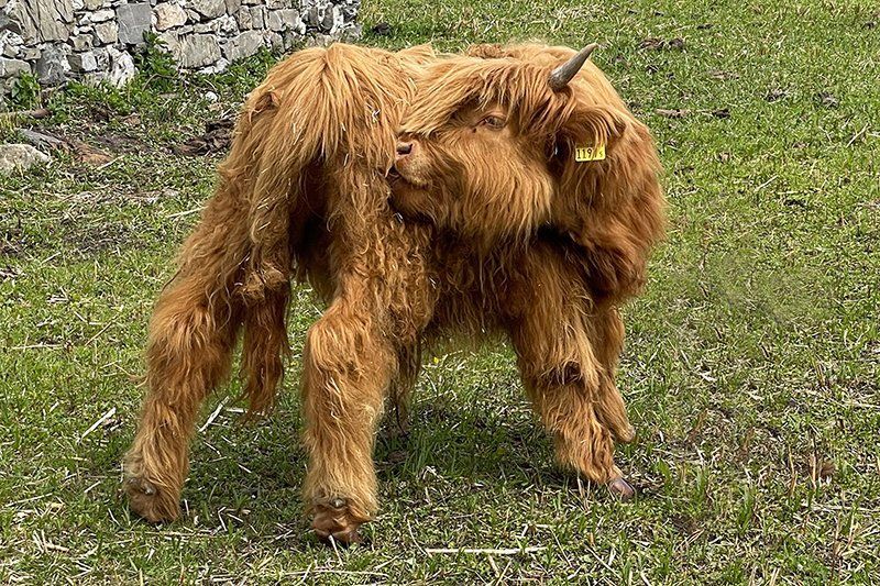 Fotografie Alfons Weber
