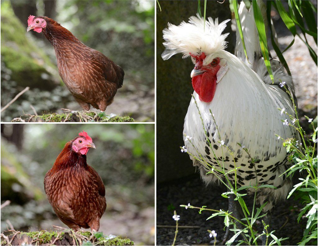 Fotografie Alfons Weber
