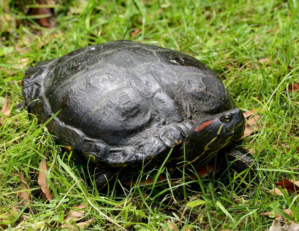 Fotografie Alfons Weber
