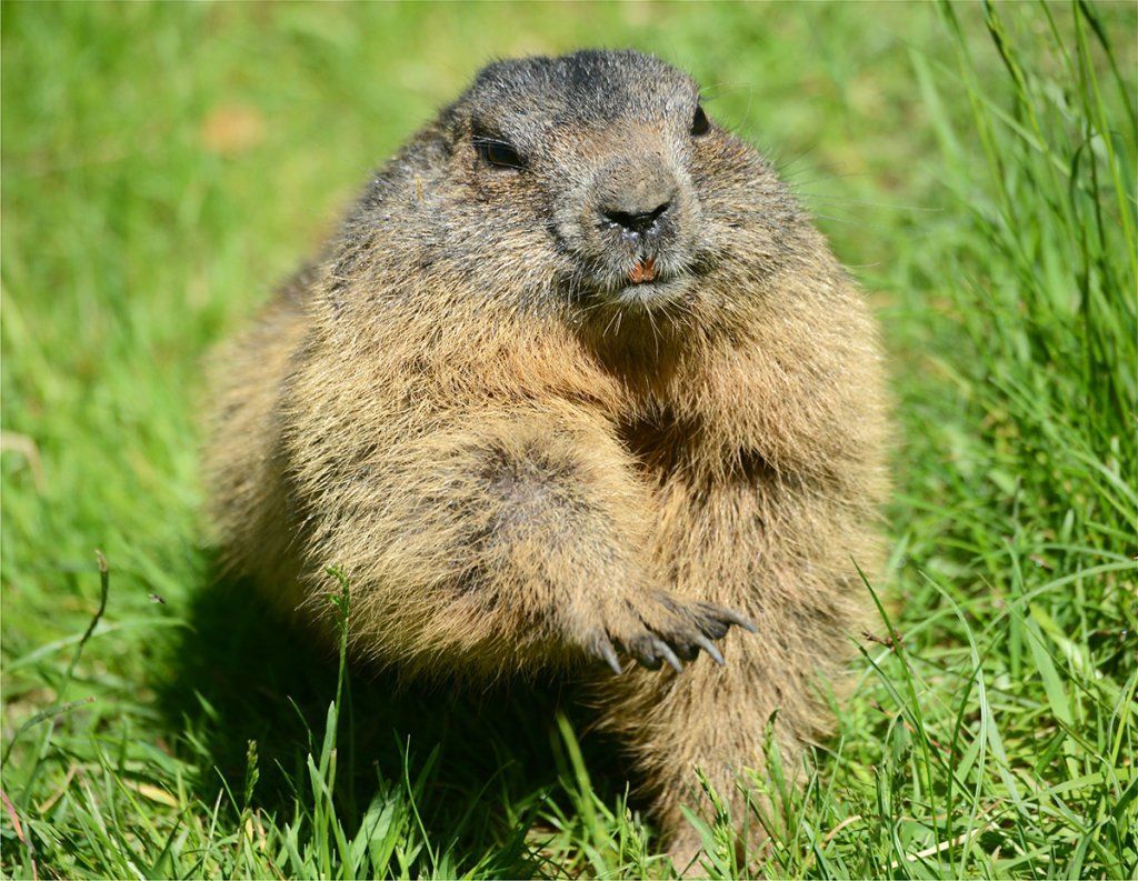 Fotografie Alfons Weber
