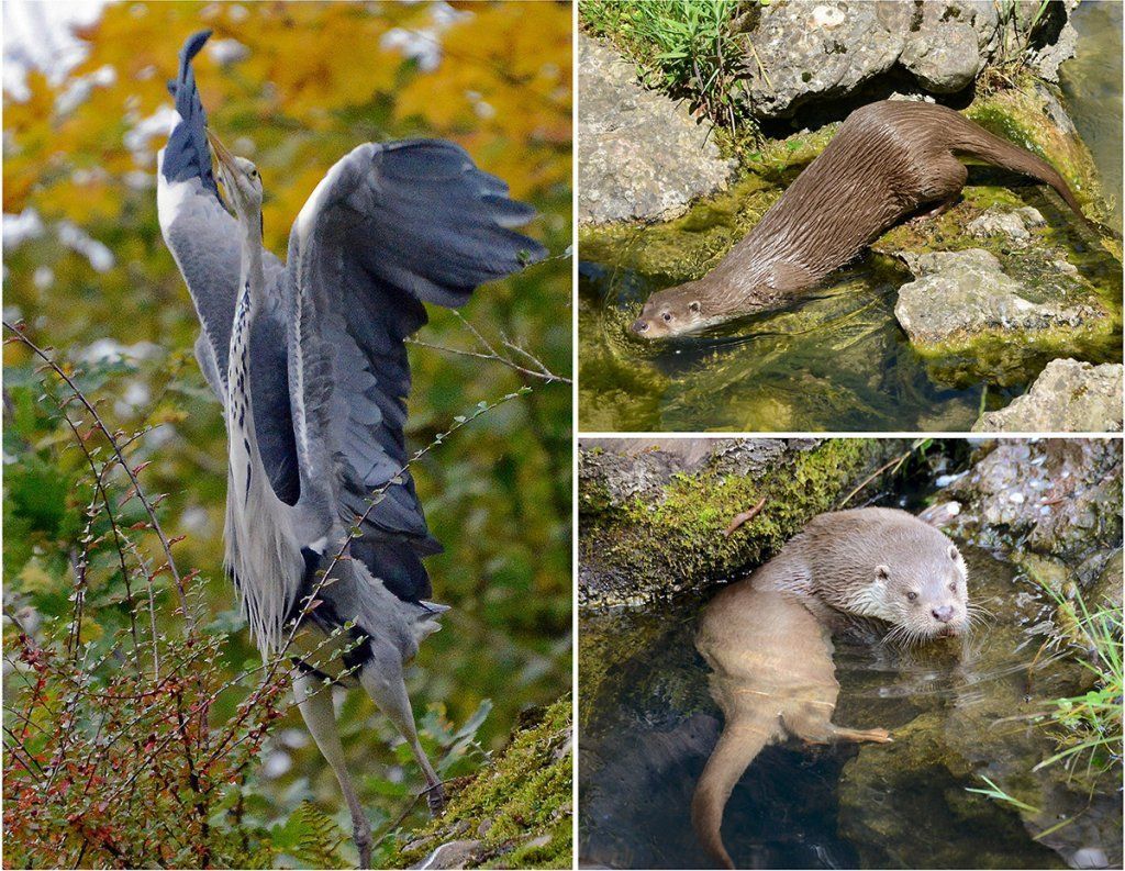 Fotografie Alfons Weber
