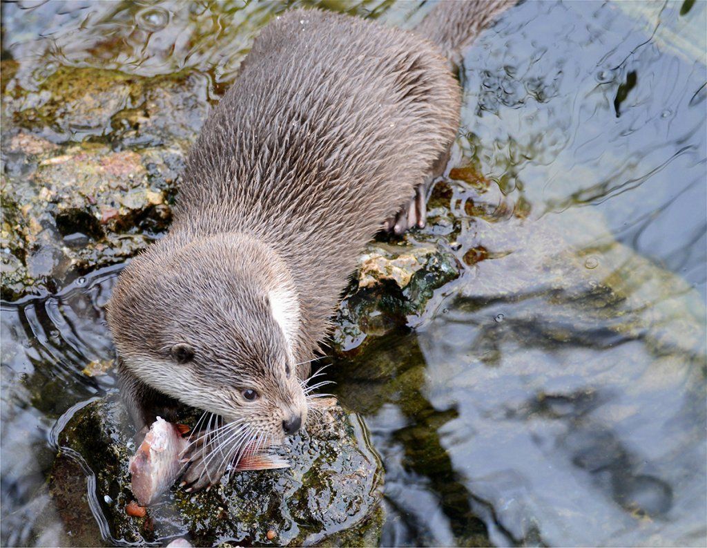 Fotografie Alfons Weber
