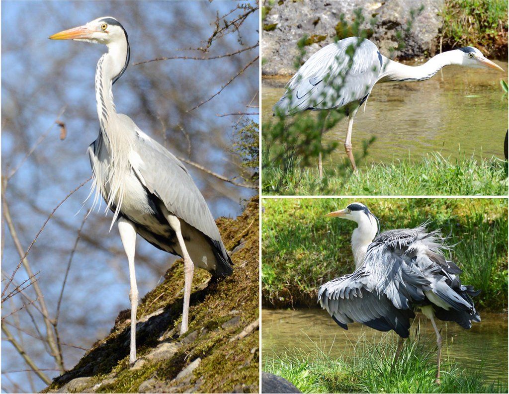 Fotografie Alfons Weber

