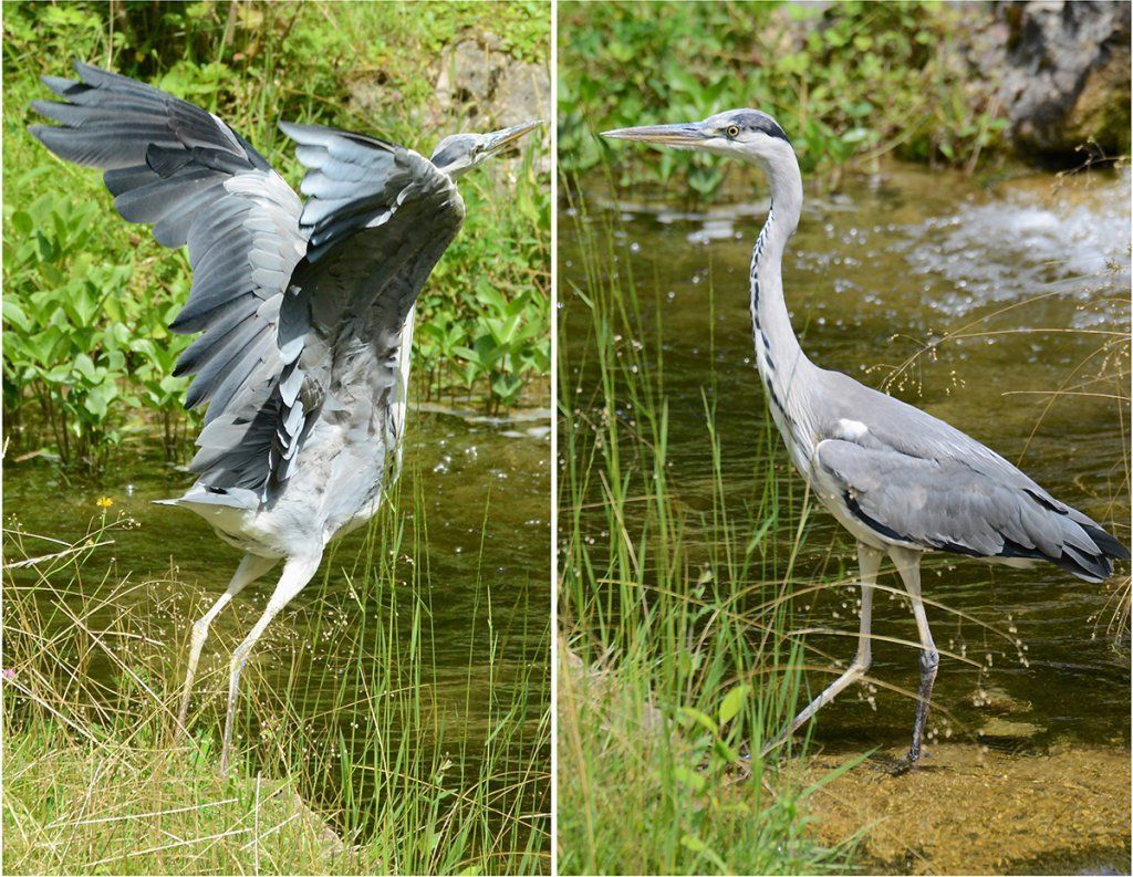 Fotografie Alfons Weber
