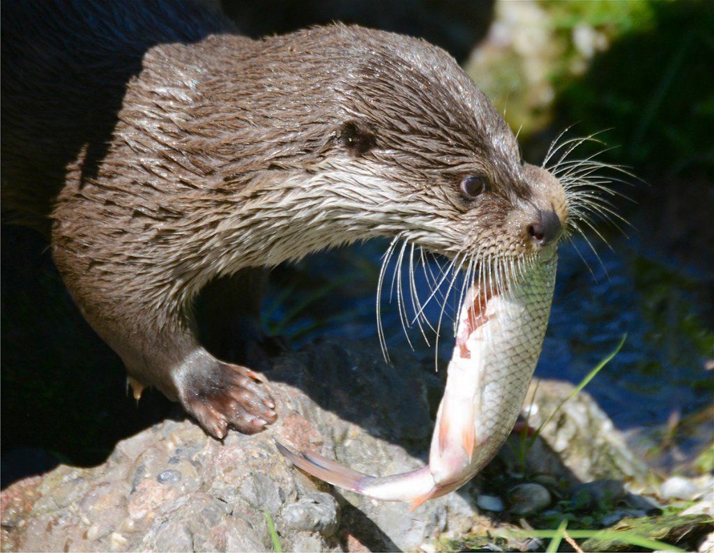 Fotografie Alfons Weber
