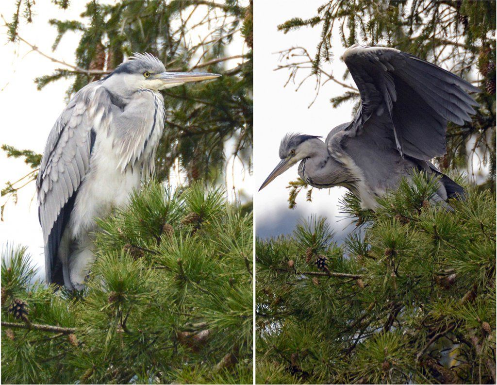 Fotografie Alfons Weber

