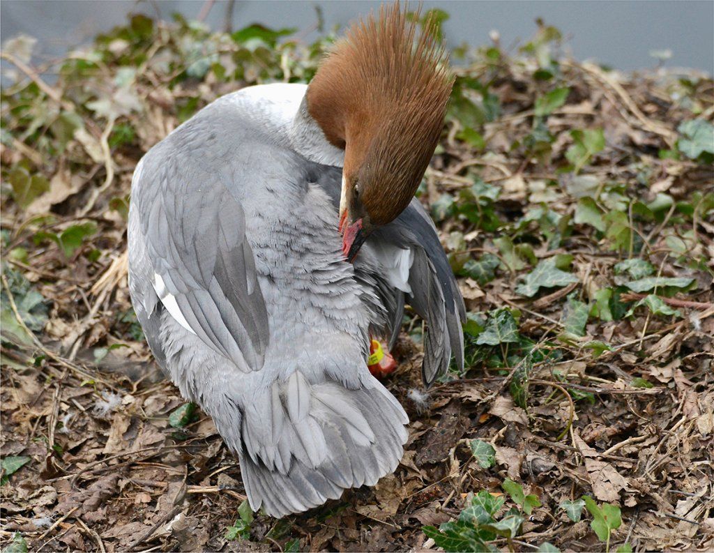 Fotografie Alfons Weber
