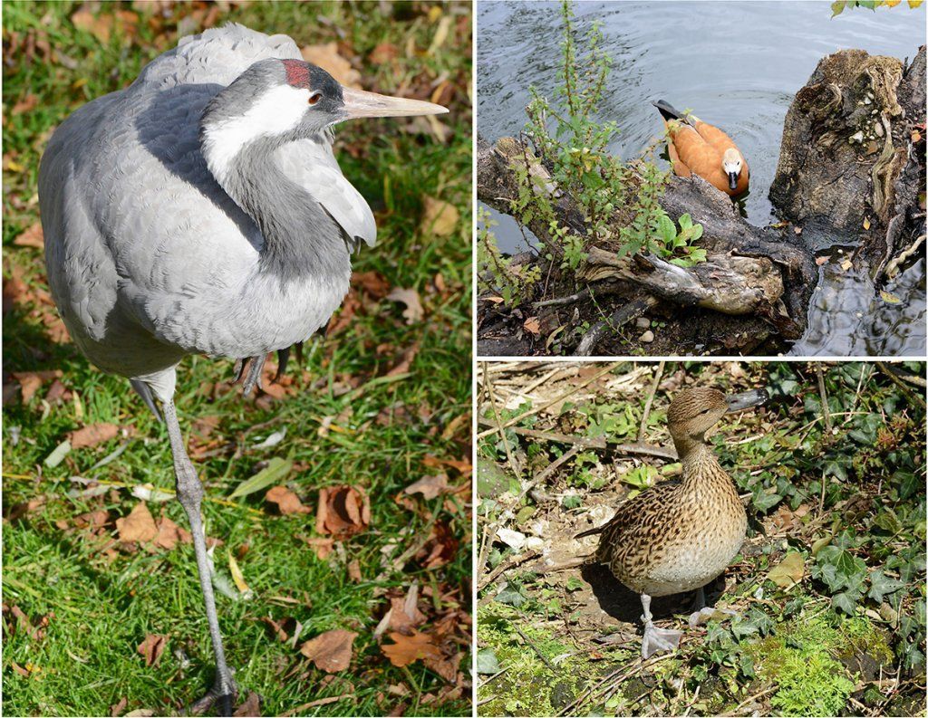Fotografie Alfons Weber
