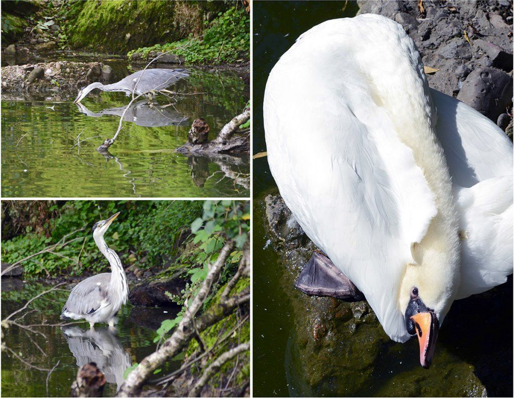 Fotografie Alfons Weber
