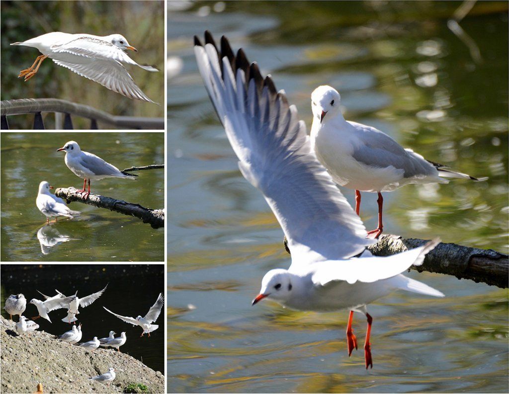 Fotografie Alfons Weber
