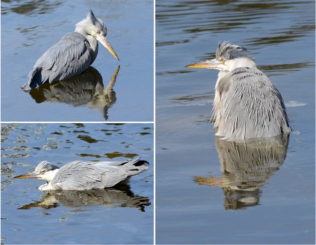 Fotografie Alfons Weber
