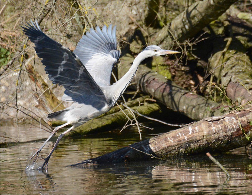 Fotografie Alfons Weber
