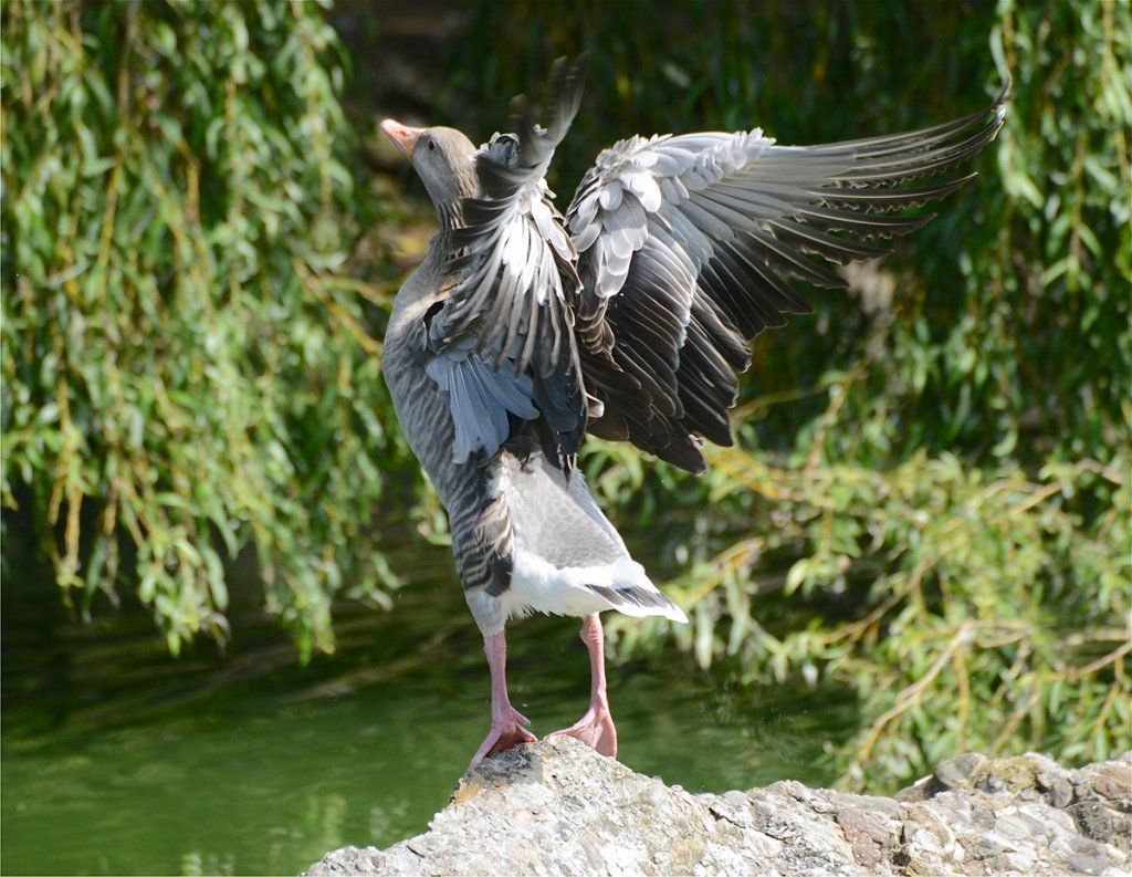 Fotografie Alfons Weber

