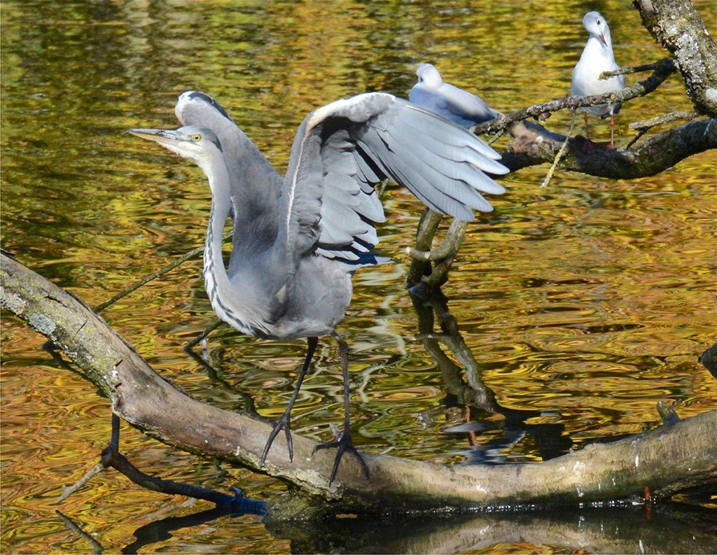 Fotografie Alfons Weber
