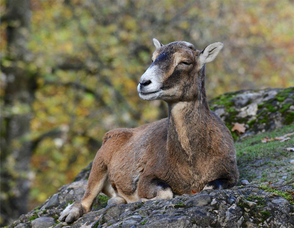 Fotografie Alfons Weber
