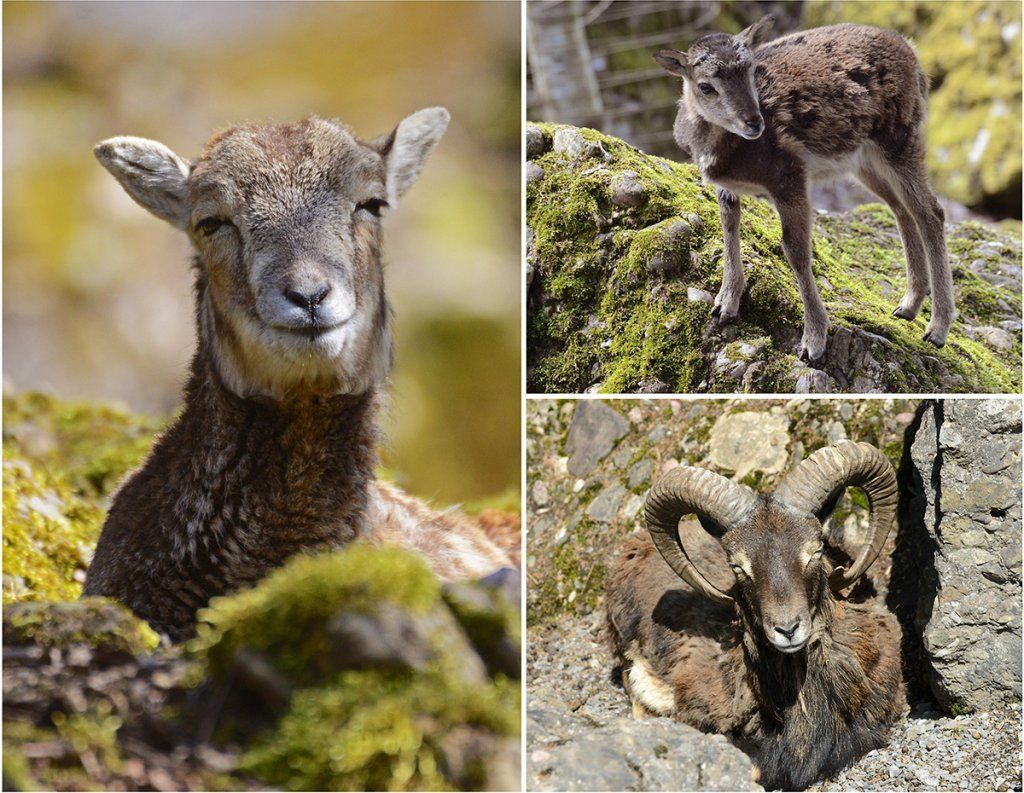 Fotografie Alfons Weber
