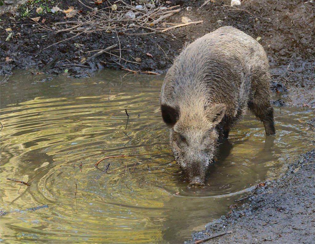 Fotografie Alfons Weber
