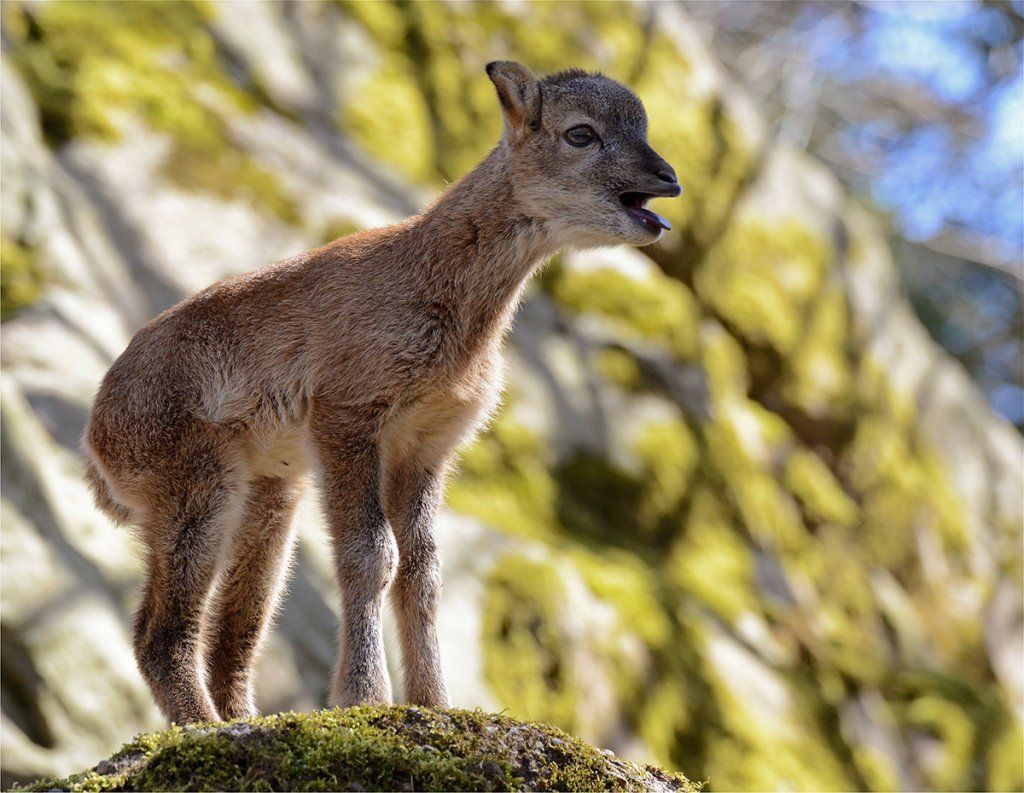 Fotografie Alfons Weber
