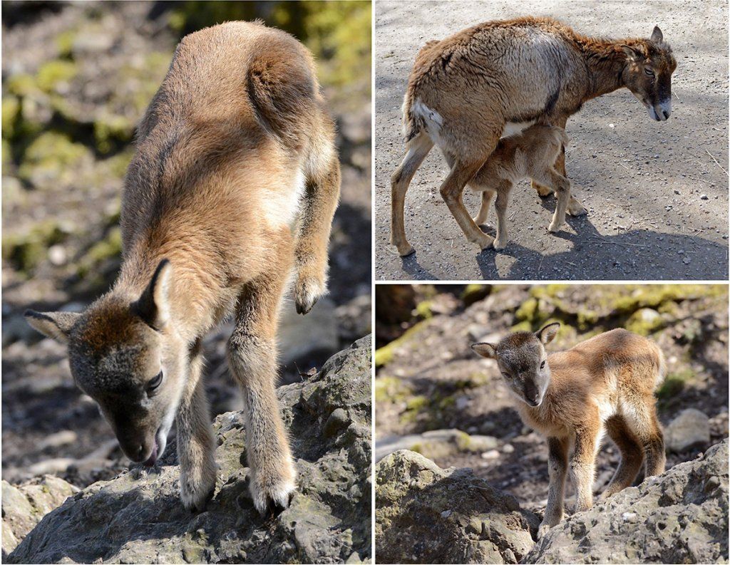 Fotografie Alfons Weber
