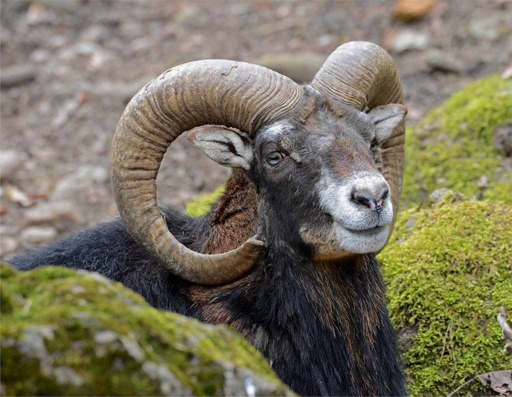 Fotografie Alfons Weber
