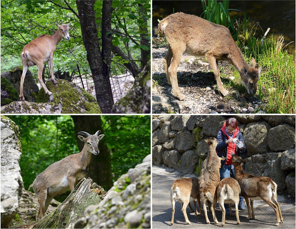 Fotografie Alfons Weber
