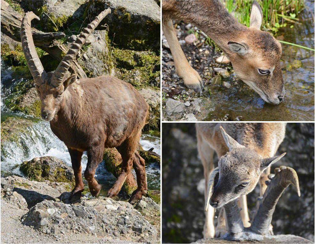 Fotografie Alfons Weber
