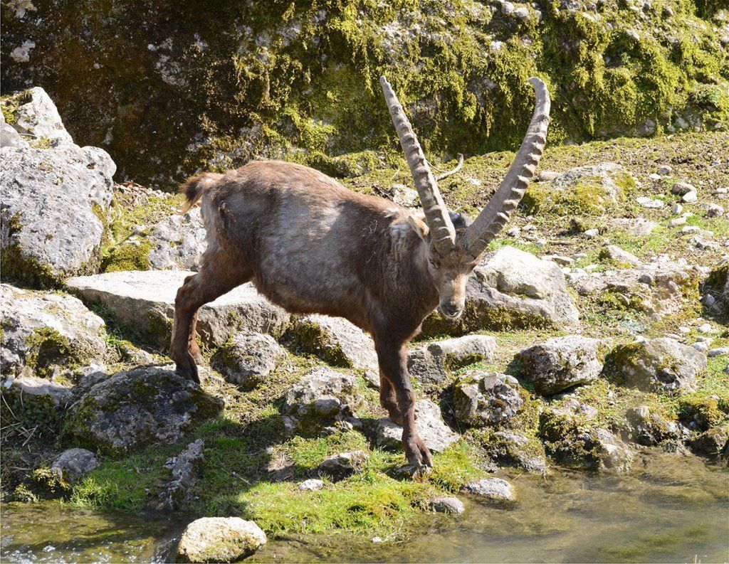 Fotografie Alfons Weber

