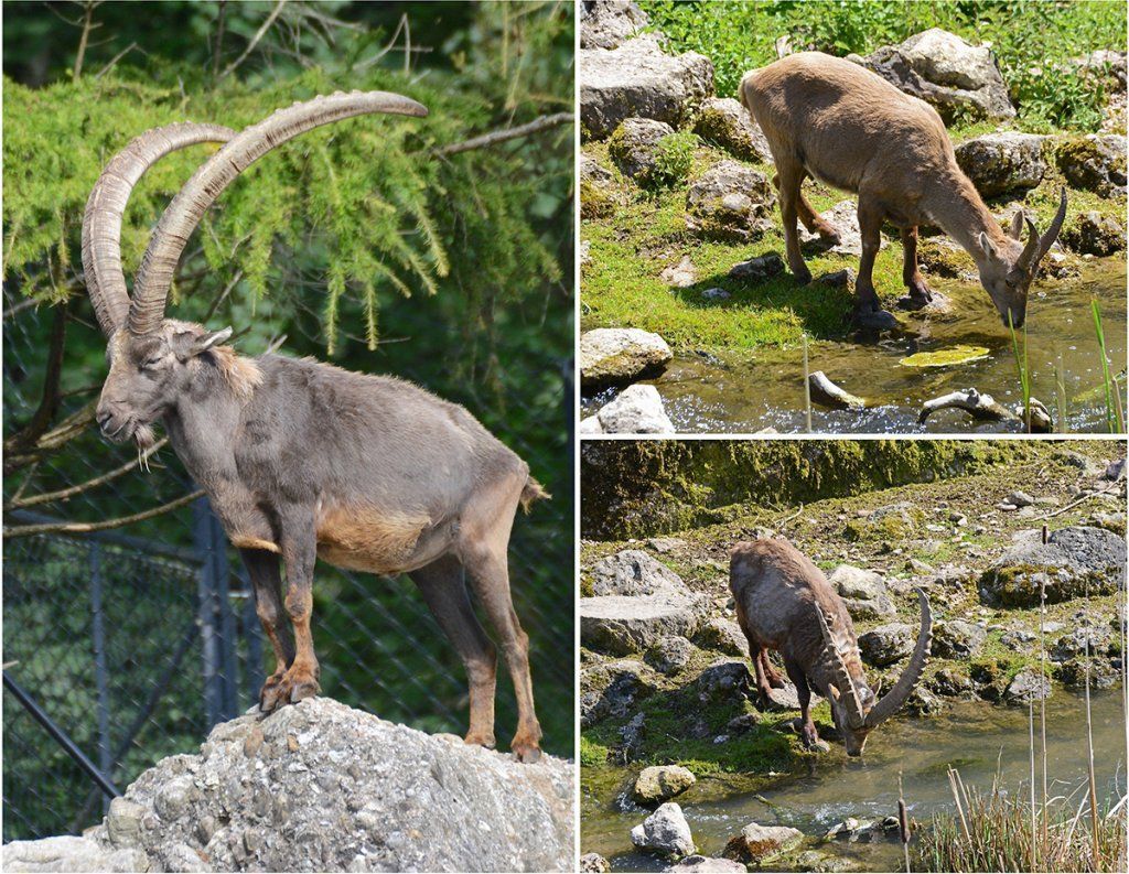 Fotografie Alfons Weber
