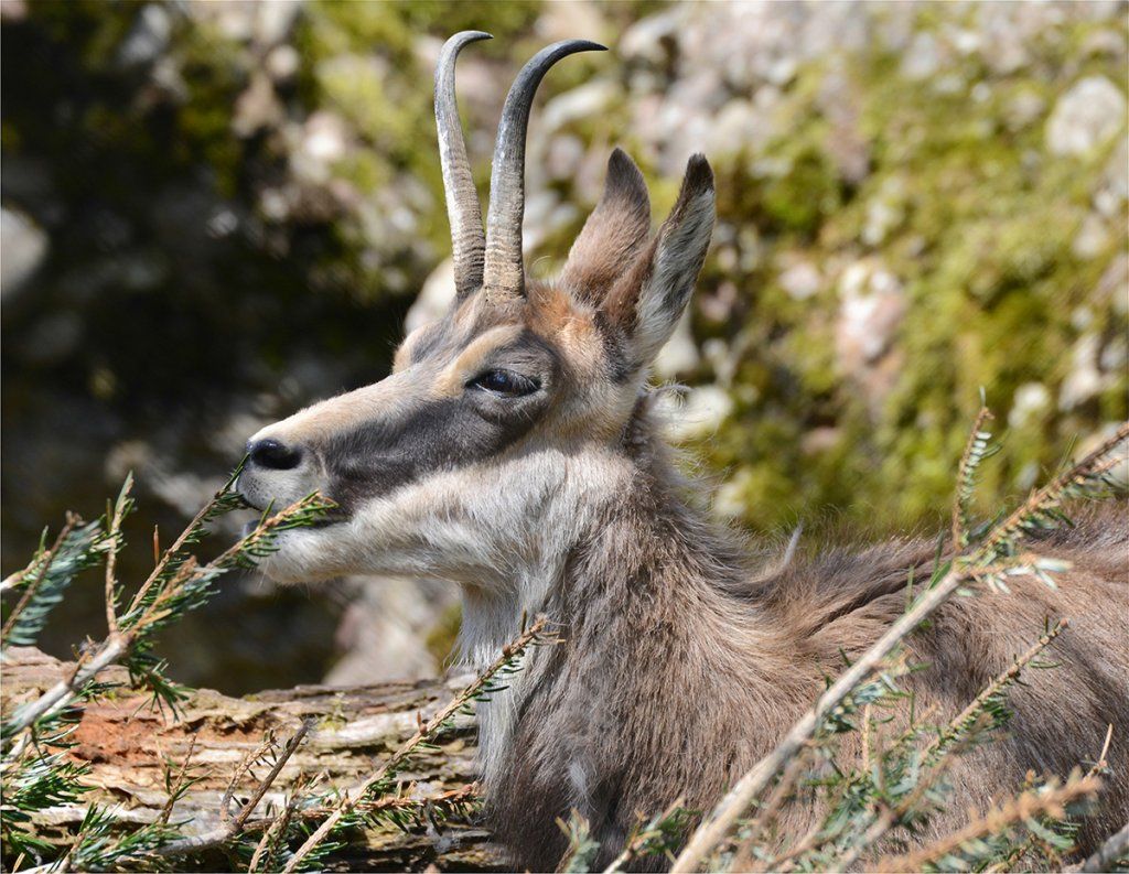 Fotografie Alfons Weber
