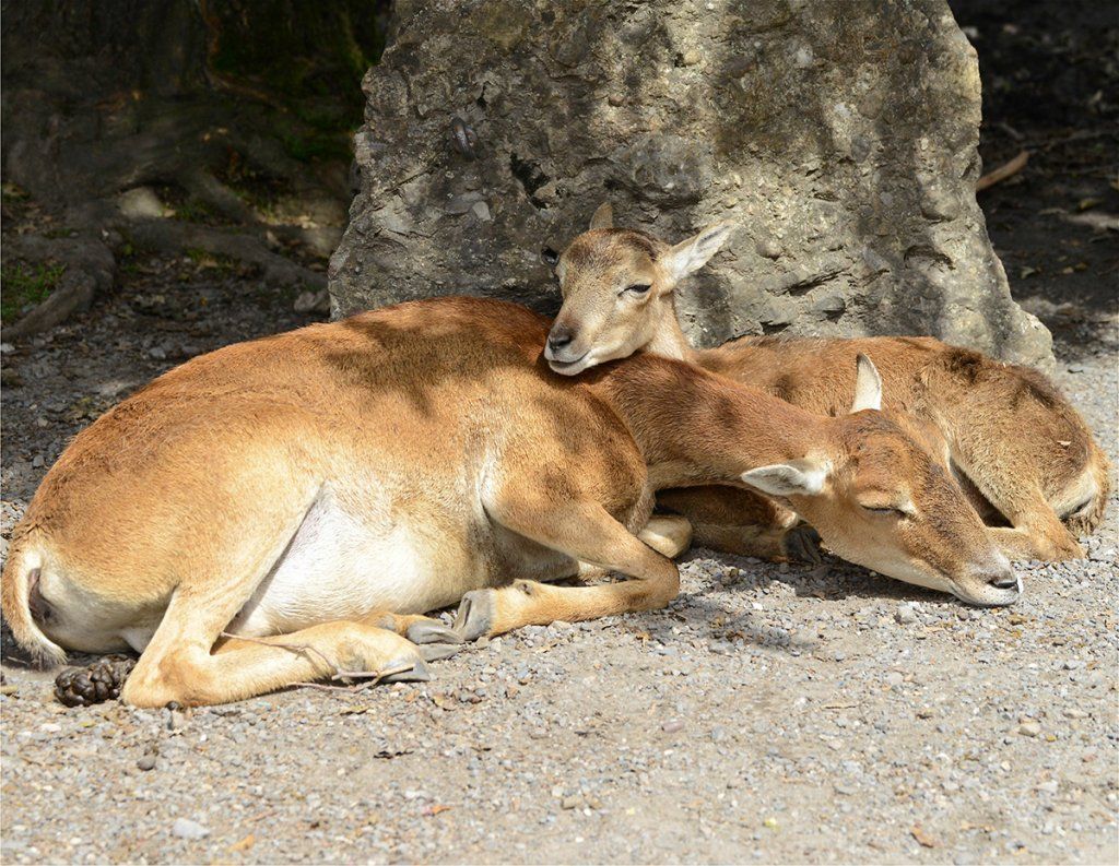 Fotografie Alfons Weber
