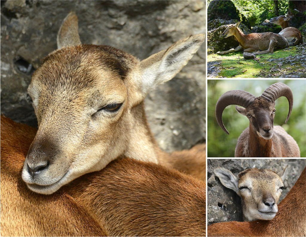 Fotografie Alfons Weber
