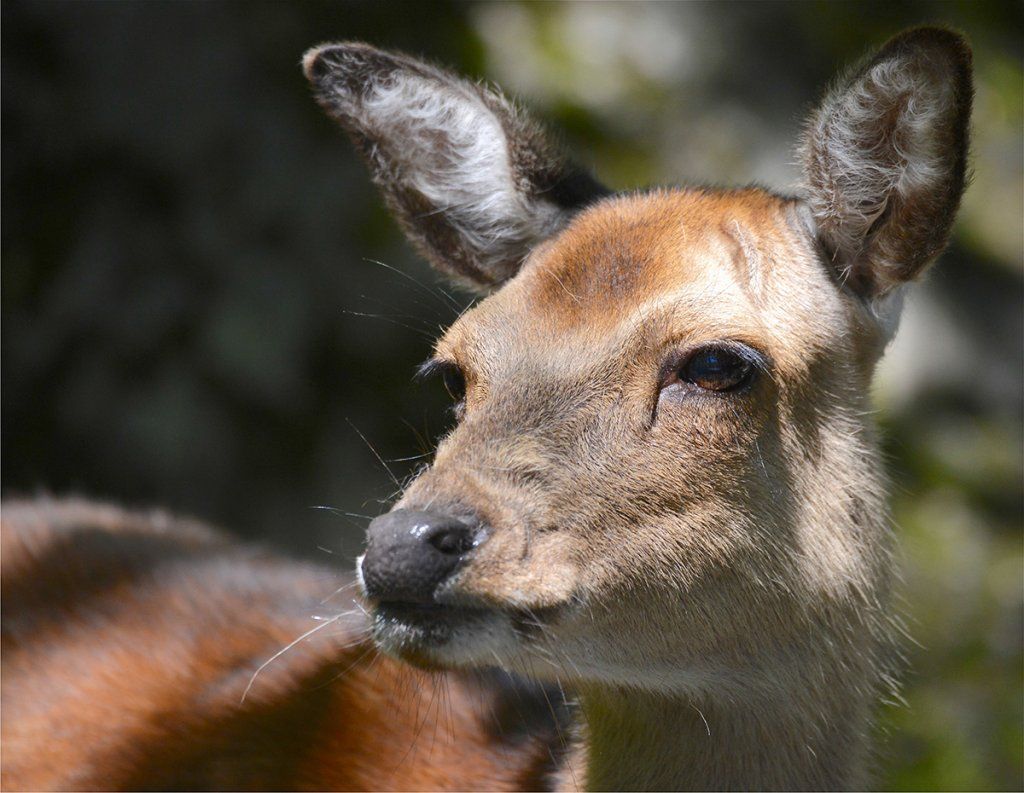 Fotografie Alfons Weber
