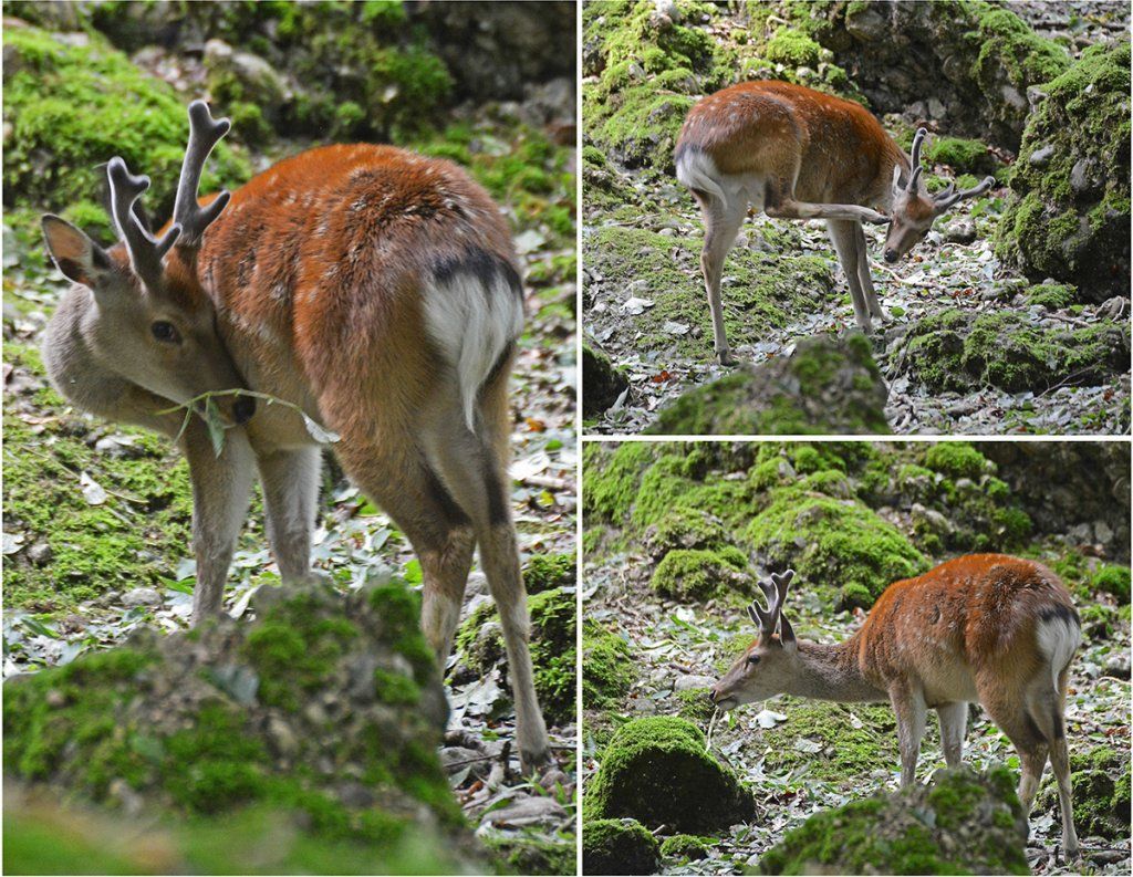 Fotografie Alfons Weber
