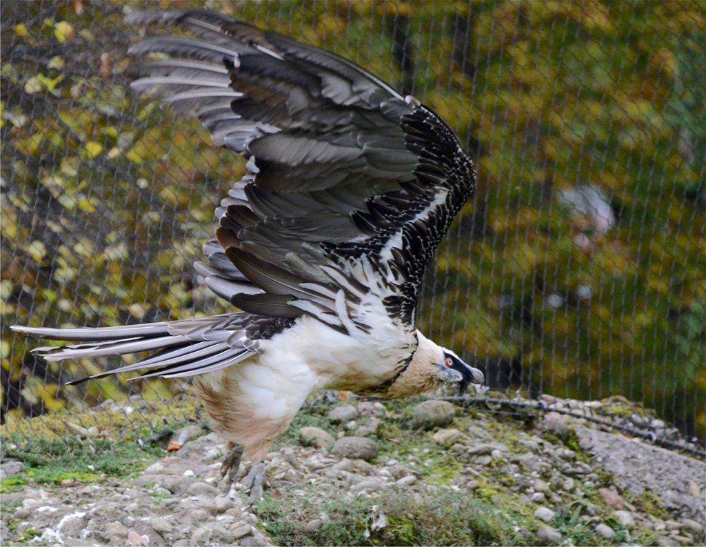 Fotografie Alfons Weber
