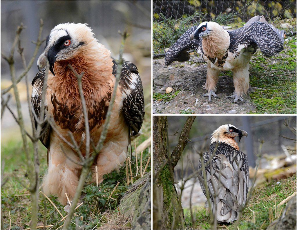 Fotografie Alfons Weber
