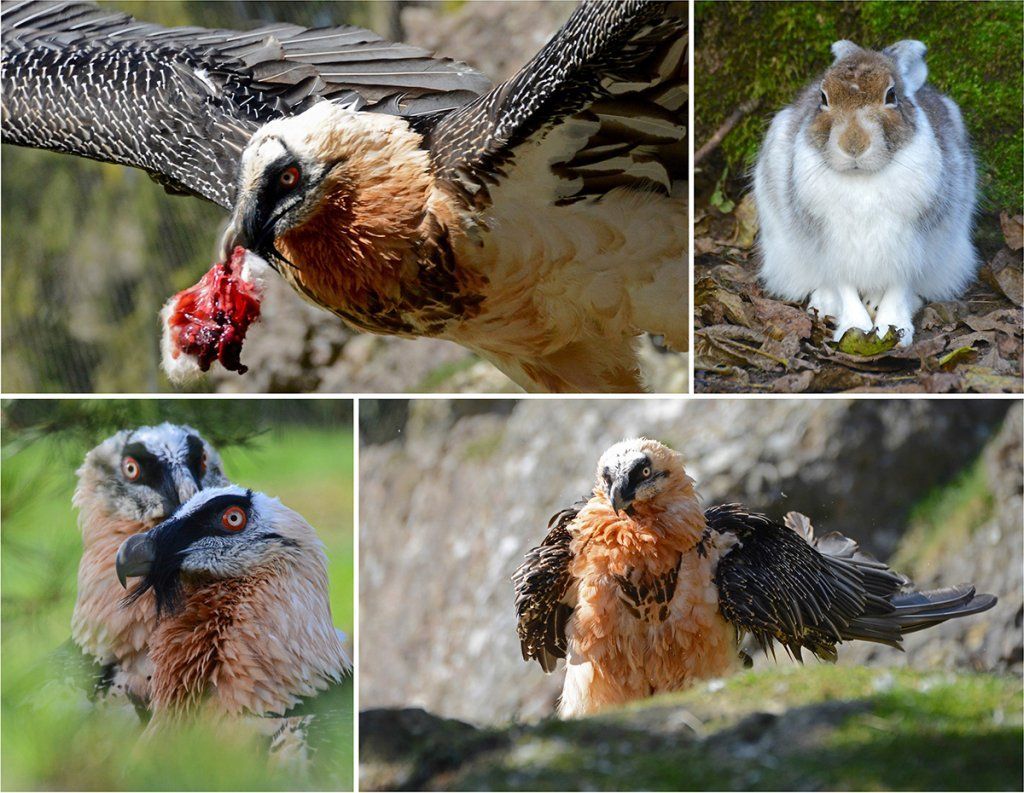 Fotografie Alfons Weber
