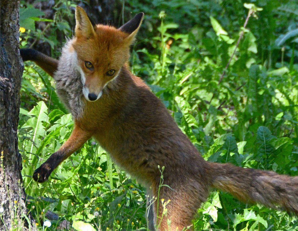 Fotografie Alfons Weber
