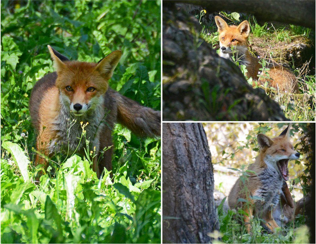 Fotografie Alfons Weber
